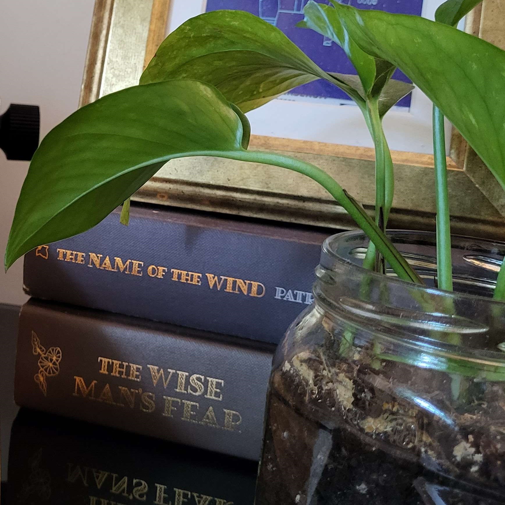 Fantasy Books